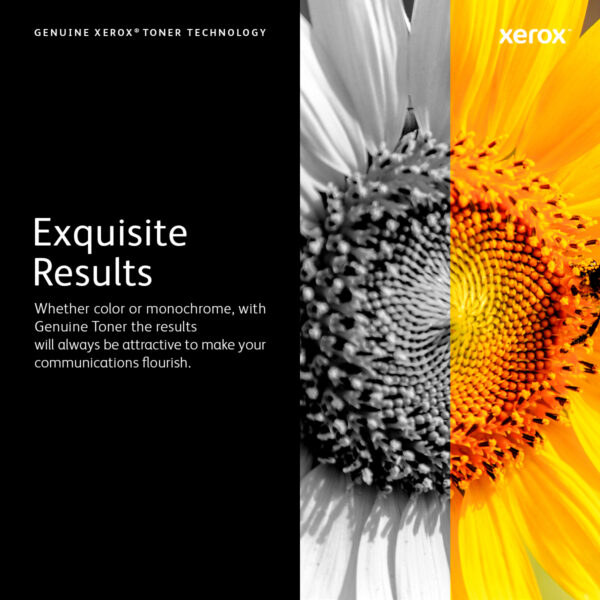 Xerox Genuine Phaser® 6510, WorkCentre® 6515 Cyan Extra High capacity Xerox VersaLink C50X Cyan Drum Cartridge (40,000 pages)