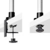 StarTech.com Monitor Desk Mount For 27in 16:9 or 30in 21:9 Ultrawide StarTech.com Monitor Desk Mount For 27in 16:9 or 30in 21:9 Ultrawide
