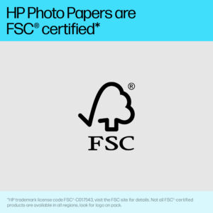HP Advanced Photo Paper Glossy 65 lb 4 x 12 in. (101 x 305 mm) 10