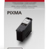 Canon PG-595 ink cartridge 1 pc(s) Original Black
