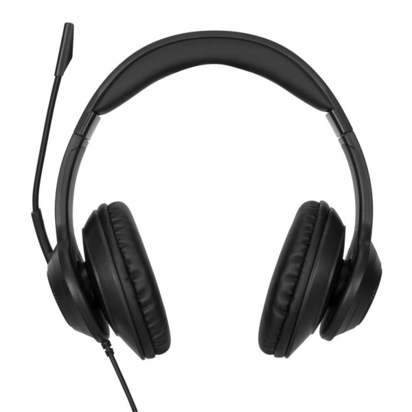 Targus AEH102GL headphones/headset Wired Head-band Calls/Music USB