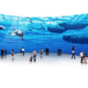 Samsung MagicInfo Video Wall-2 S/W - Author License 1 license(s)