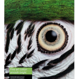 Epson C13S450275NQ printing paper A3+ (330x483 mm) Smooth 25 sheets Epson C13S450275NQ printing paper A3+ (330x483 mm) Smooth 25 sheets