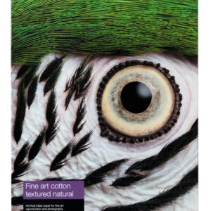 Epson C13S450281NQ printing paper A4 (210x297 mm) Textured finish 25 Epson C13S450281NQ printing paper A4 (210x297 mm) Textured finish 25