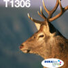 Epson Stag Multipack 3-colours T1306 DURABrite Ultra Ink EasyMail Epson Stag Multipack 3-colours T1306 DURABrite Ultra Ink EasyMail
