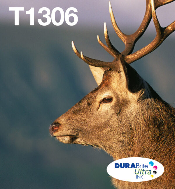 Epson Stag Multipack 3-colours T1306 DURABrite Ultra Ink EasyMail Epson Stag Multipack 3-colours T1306 DURABrite Ultra Ink EasyMail