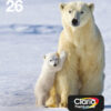 Epson Polar bear Multipack 4-colours 26 EasyMail Epson Polar bear Multipack 4-colours 26 EasyMail