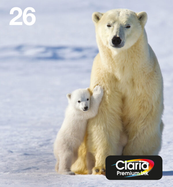 Epson Polar bear Multipack 4-colours 26 EasyMail Epson Polar bear Multipack 4-colours 26 EasyMail