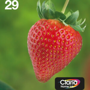 Epson Strawberry Multipack 4-colours 29 EasyMail Epson Strawberry Multipack 4-colours 29 EasyMail