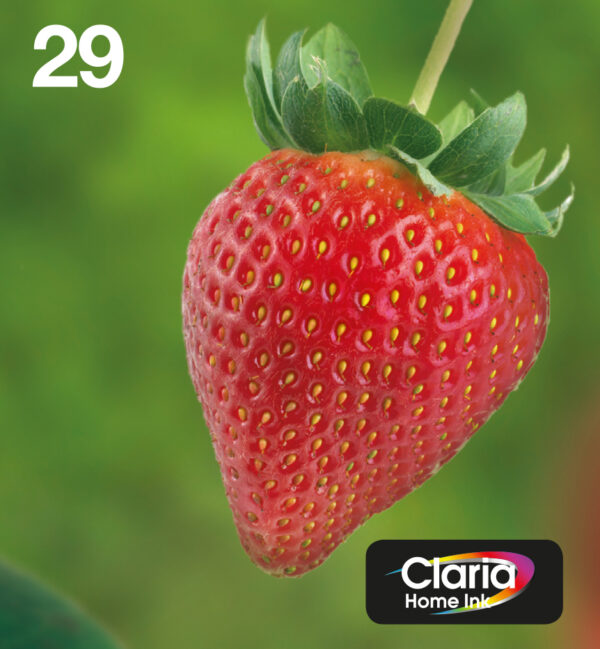 Epson Strawberry Multipack 4-colours 29 EasyMail Epson Strawberry Multipack 4-colours 29 EasyMail