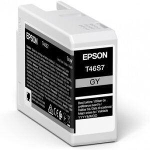 Epson UltraChrome Pro ink cartridge 1 pc(s) Original Grey Epson UltraChrome Pro ink cartridge 1 pc(s) Original Grey