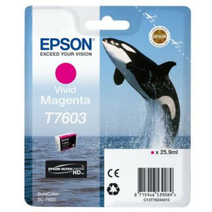 Epson C13T76034N10 ink cartridge 1 pc(s) Original Vivid magenta Epson C13T76034N10 ink cartridge 1 pc(s) Original Vivid magenta
