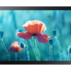 Samsung QB13R-TM Interactive flat panel 33 cm (13") LED Wi-Fi 500