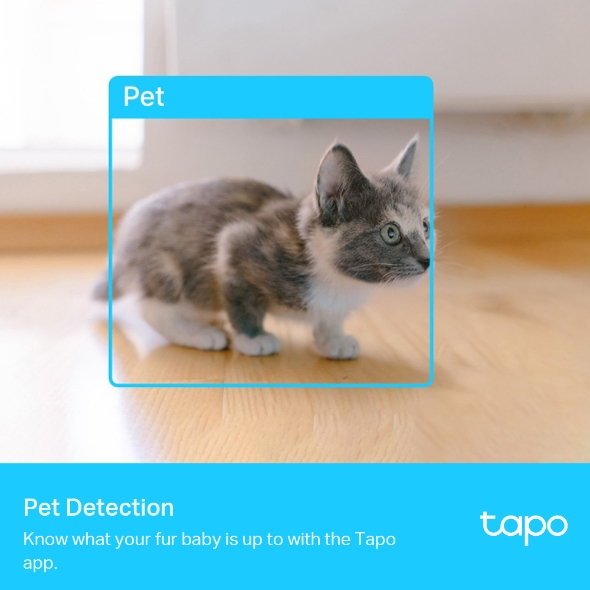 TP-Link Tapo Pan/Tilt AI Home Security Wi-Fi Camera TP-Link Tapo Pan/Tilt AI Home Security Wi-Fi Camera