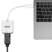 Lindy USB Type C to DisplayPort Adapter