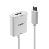 38295049_2630968010.jpg Lindy USB Type C to DisplayPort Adapter