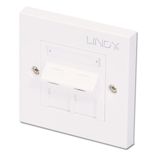 Lindy CAT6 Single Wall Plate with 2 x Angled RJ-45 Shuttered Socket, Unshielded