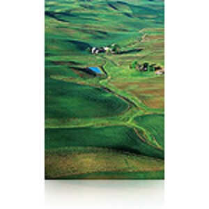 Epson Premium Semigloss Photo Paper, 60" x 30,5 m, 250g/m²