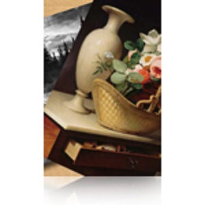 Epson Premium Luster Photo Paper, 60" x 30,5 m, 260g/m²