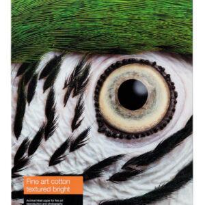 Epson C13S450289NQ printing paper A3+ (330x483 mm) Textured finish 25