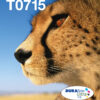Epson Multipack 4-colours T071 EasyMail Epson Multipack 4-colours T071 EasyMail