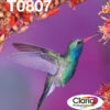 Epson Hummingbird Multipack 6-colours T0807 Claria Photographic Ink Epson Hummingbird Multipack 6-colours T0807 Claria Photographic Ink