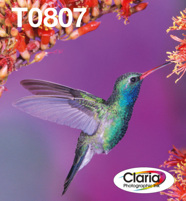 Epson Hummingbird Multipack 6-colours T0807 Claria Photographic Ink Epson Hummingbird Multipack 6-colours T0807 Claria Photographic Ink