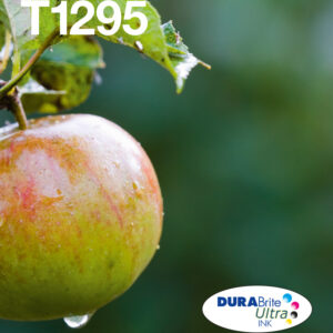 Epson Apple Multipack 4-colours T129 EasyMail Epson Apple Multipack 4-colours T129 EasyMail