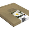 Epson Daisy Multipack 4-colours 18 EasyMail Epson Daisy Multipack 4-colours 18 EasyMail