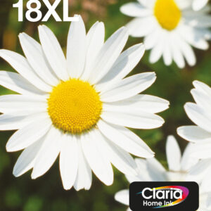 Epson Daisy Multipack 4-colours 18XL EasyMail Epson Daisy Multipack 4-colours 18XL EasyMail