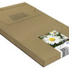 Epson Daisy Multipack 4-colours 18XL EasyMail Epson Daisy Multipack 4-colours 18XL EasyMail