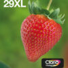 Epson Strawberry Multipack 4-colours 29XL EasyMail Epson Strawberry Multipack 4-colours 29XL EasyMail