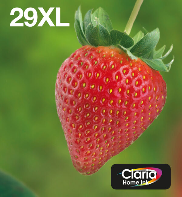 Epson Strawberry Multipack 4-colours 29XL EasyMail Epson Strawberry Multipack 4-colours 29XL EasyMail