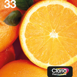 Epson Oranges Multipack 5-colours 33 Claria Premium Ink EasyMail Pack