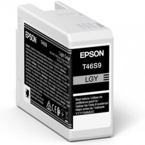 Epson UltraChrome Pro ink cartridge 1 pc(s) Original Light grey Epson UltraChrome Pro ink cartridge 1 pc(s) Original Light grey