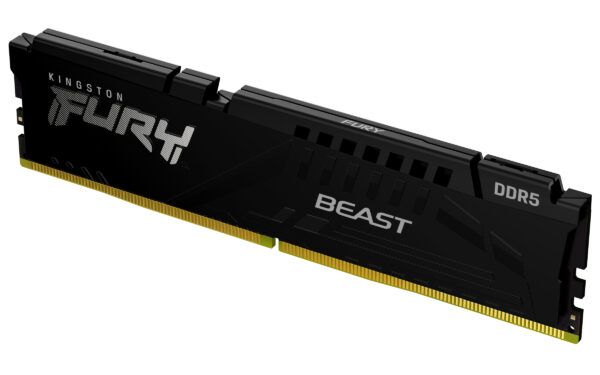 Kingston Technology FURY Beast 8GB 5600MT/s DDR5 CL36 DIMM Black EXPO