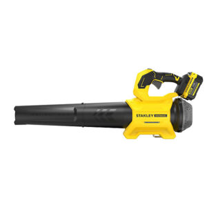 BEBLV301-GB 3000WBACKPACKBLOWVAC+STRAP+RAKE+ACC