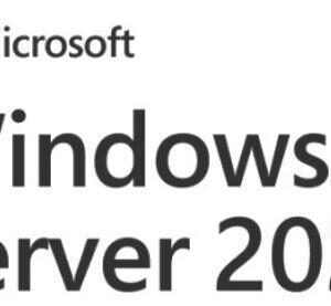 EP2-25225 Microsoft software/licensing product - WIN SVR CAL 2025 1 DEVICE CAL