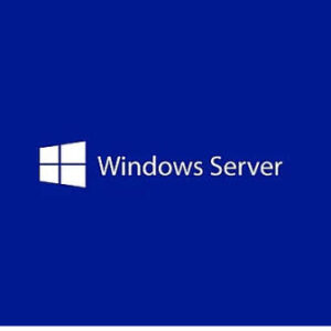 EP2-25261 Microsoft software/licensing product - WIN SVR CAL 2025 1 USER CAL