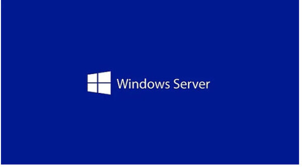 EP2-25261 Microsoft software/licensing product - WIN SVR CAL 2025 1 USER CAL