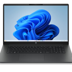 17-DP0006NAX R5 40 8GB 256GB W11